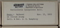 Image Associated With the Occurence